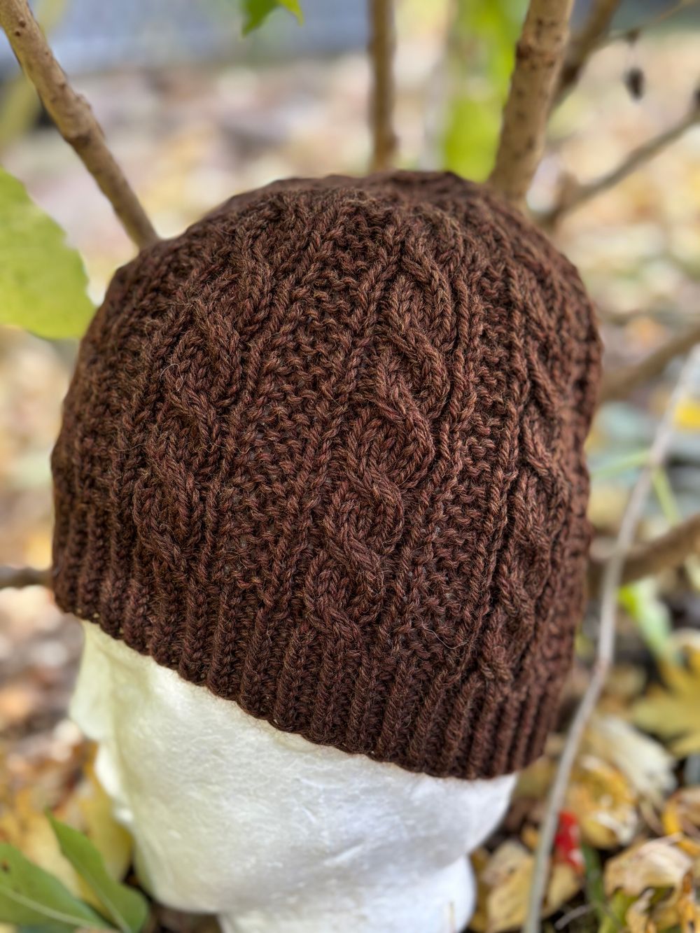 Cabled Hat